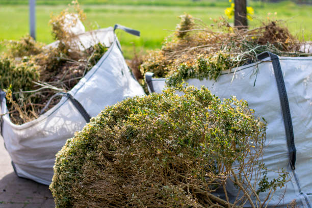 Best Electronics Removal Services  in Cnelius, OR